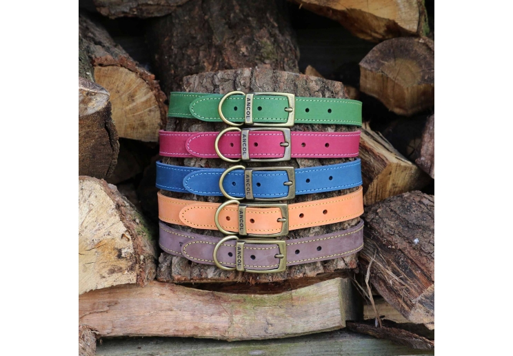 Timberwolf Leather Collar Raspberry 20-26cm Size 1