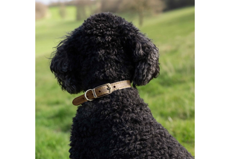 Timberwolf Leather Collar Sable 28-36cm Size 3