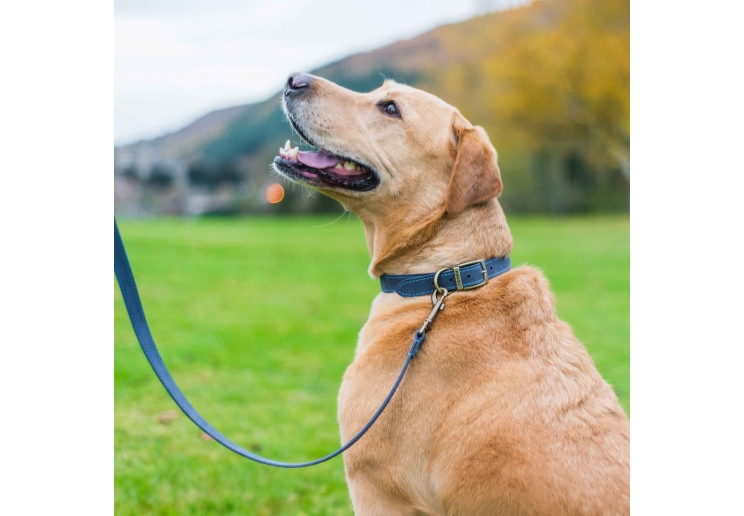 Timberwolf Leather Lead Blue 1mx19mm