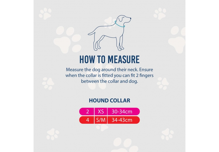 Timberwolf Whippet Leather Collar Blue 30-34cm