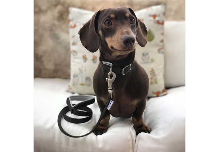 Viva Padded Lead Black 1mx25mm