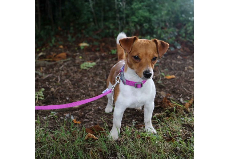 Viva Padded Lead Blue 1mx25mm