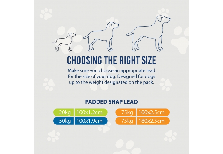 Viva Padded Lead Blue 1mx25mm