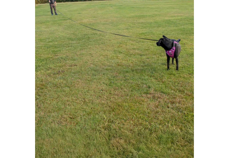 Obedia Training Line 20m
