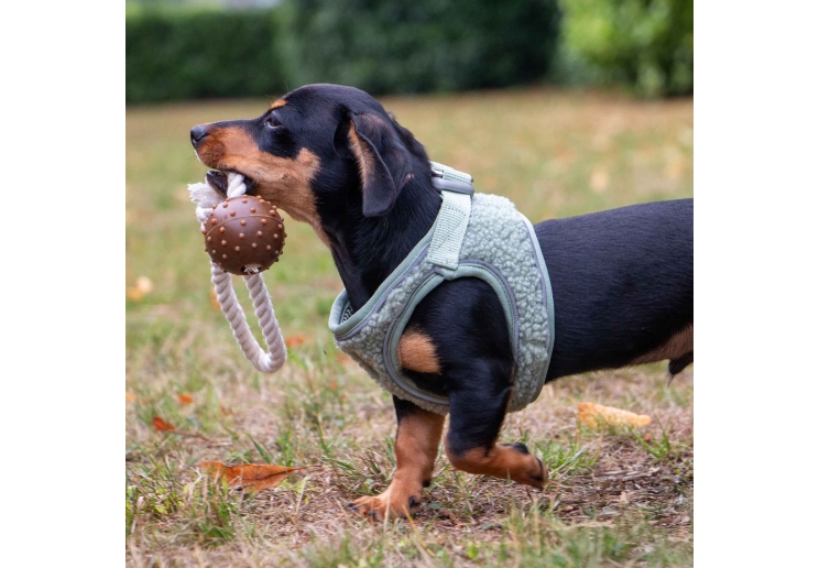 Small Bite Teddy Bear Harness Sage XS 30-36cm