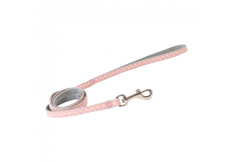Small Bite Polka Collar Lead Set Rose