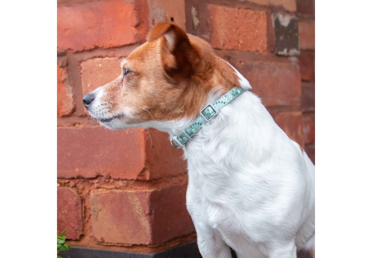 Small Bite Floral Collar Lead Set Sage