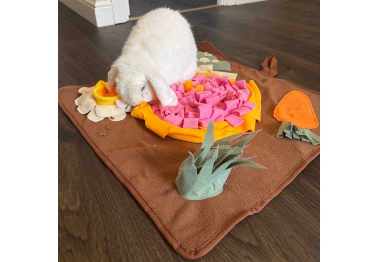 Veg Patch Snuffle Mat