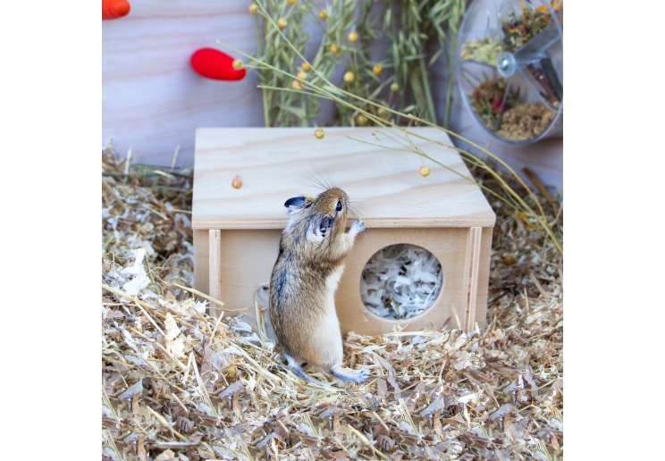 Small Pet Wooden Hide (Small - Flat Pack)
