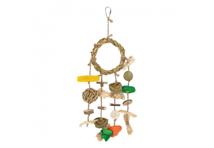 Enrichment Dreamcatcher