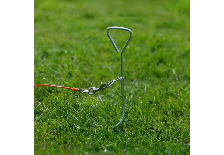 Tie Out Stake Heavy Duty