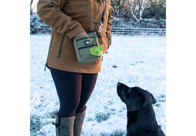 Obedia Treat & Training Bag