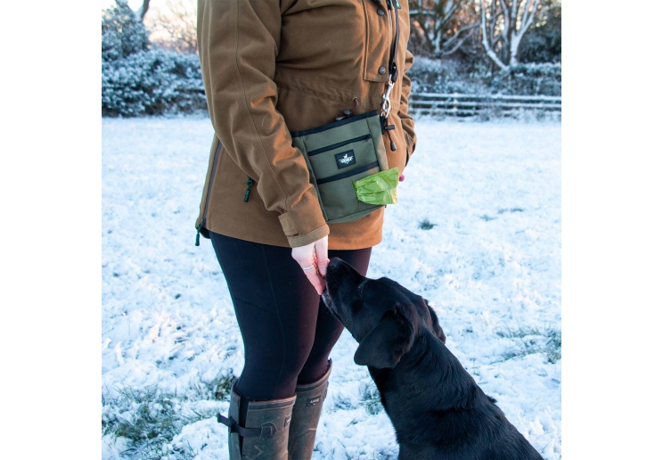 Obedia Treat & Training Bag