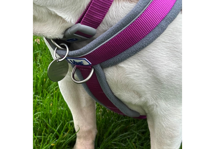 Viva Padded Harness Purple L 52-71cm