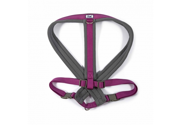 Viva Padded Harness Purple XXL 97-130cm