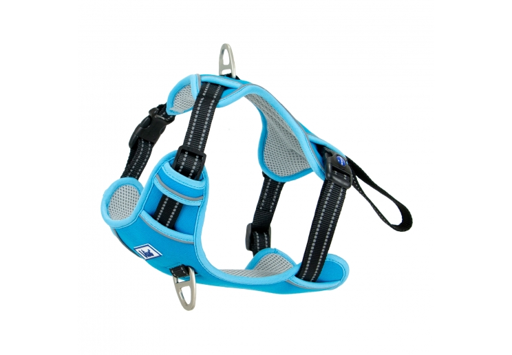 Viva Exercise & Travel Harness Blue S 35-45cm