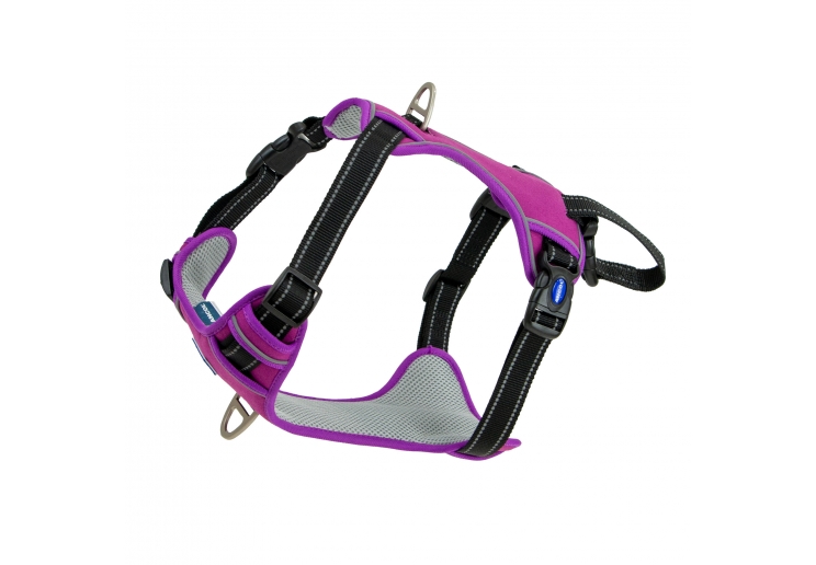 Viva Exercise & Travel Harness Purple S 35-45cm
