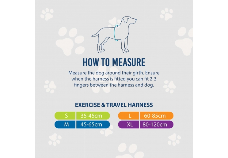 Viva Exercise & Travel Harness Purple S 35-45cm