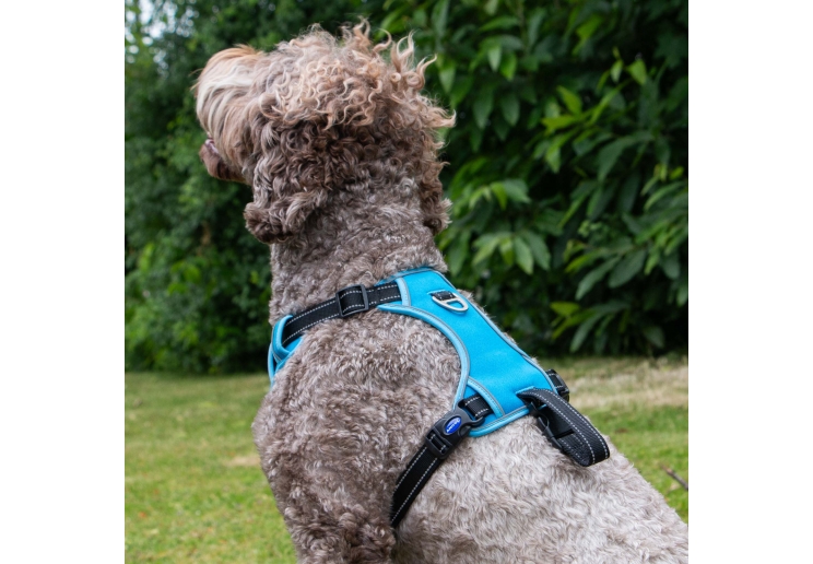 Viva Exercise & Travel Harness Black M 45-65cm