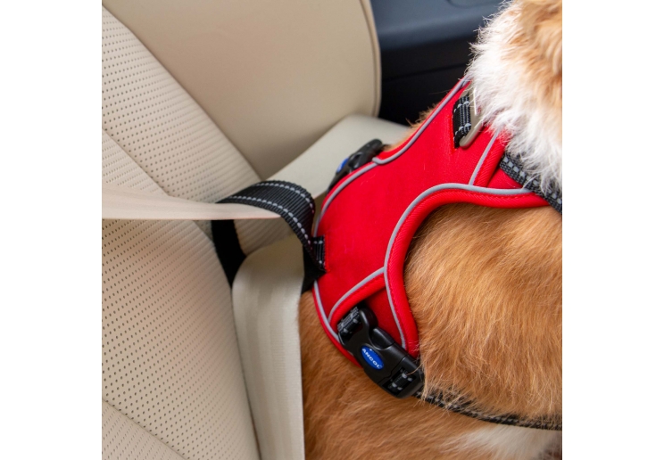 Viva Exercise & Travel Harness Red XL 80-120cm