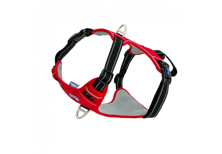 Viva Exercise & Travel Harness Red XL 80-120cm
