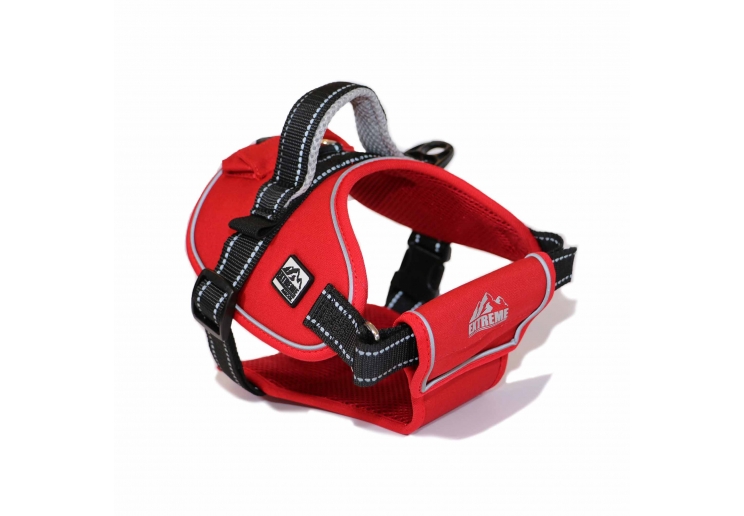 Extreme Harness Red M 68-86cm