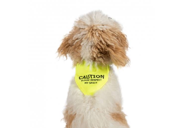 Warning Bandana Yellow S/M 21cm x 14cm