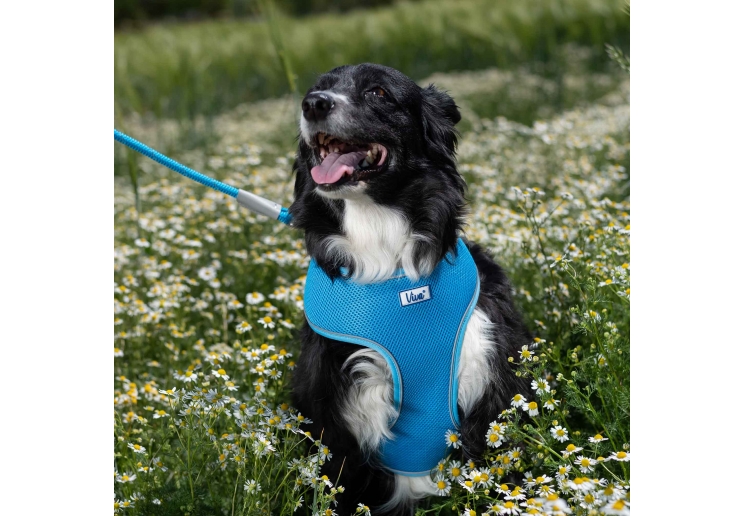 Viva Comfort Dog Harness Blue M 44-57cm
