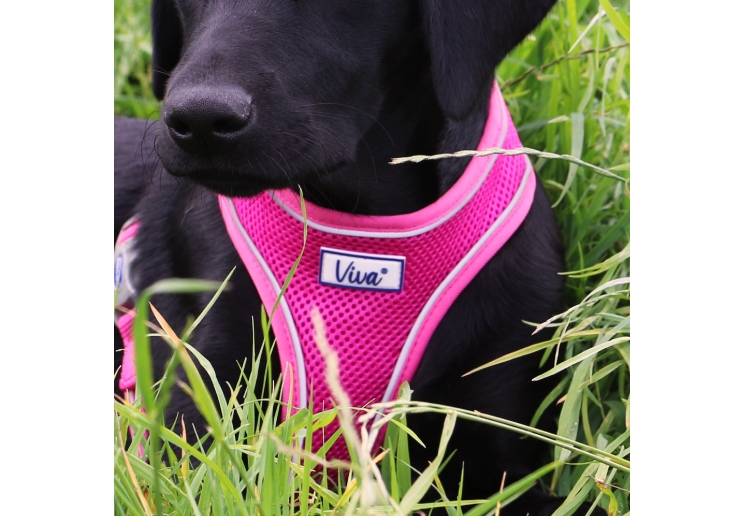 Viva Comfort Dog Harness Pink L 53-74cm