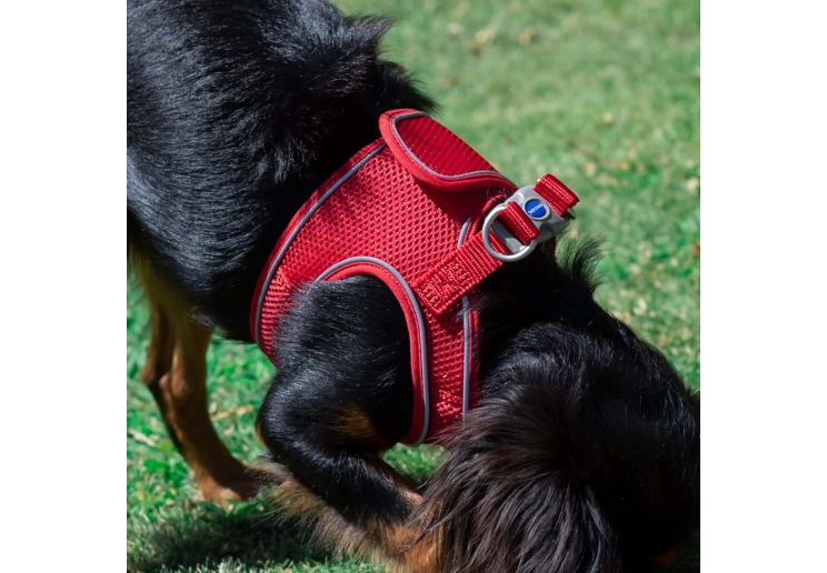 Viva Step-in Harness XL Red 60-67cm