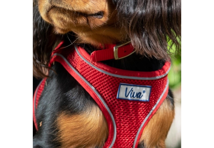 Viva Step-in Harness S/M Red 41-47cm