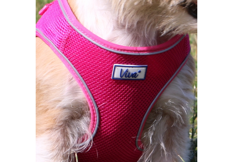 Viva Step-in Harness Pink S/M 41-47cm