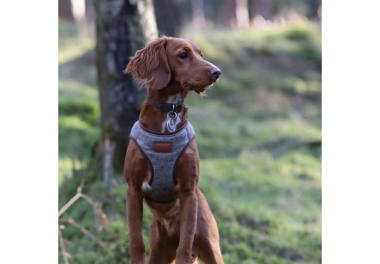 Heritage Herringbone Step In Harness S
