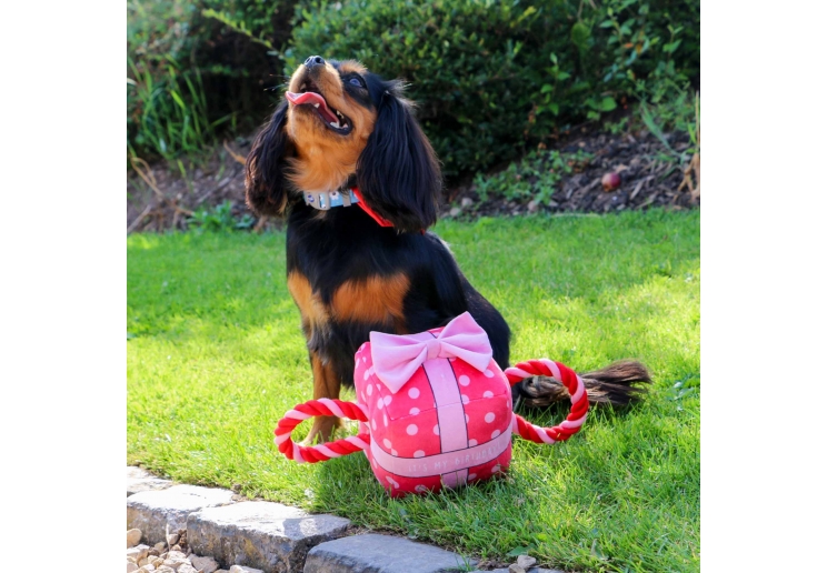 Its My Birthday Present Large Pink