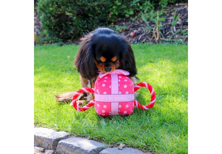 Its My Birthday Present Large Pink