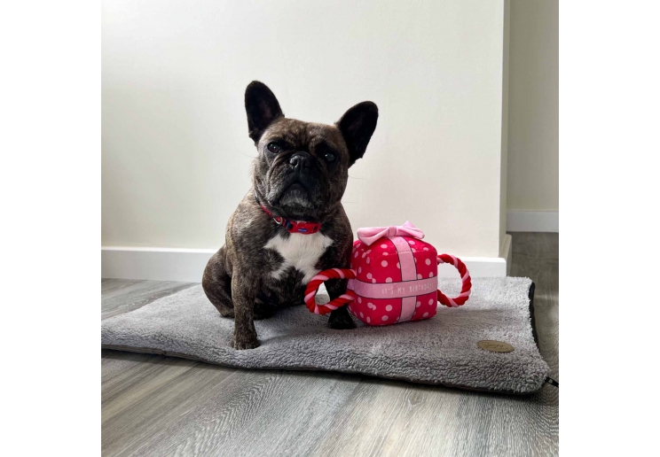 Its My Birthday Present Large Pink