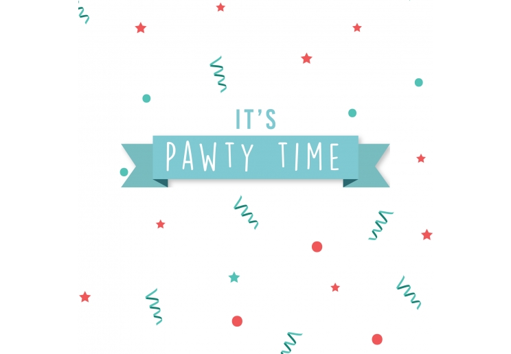 Pawty Tennis Balls (3pcs)