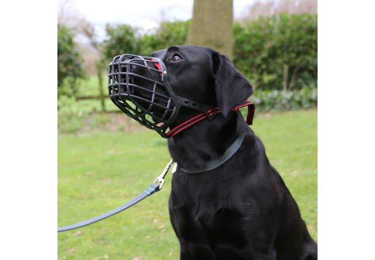 Basket Muzzle Size 4: 20x7.5cm