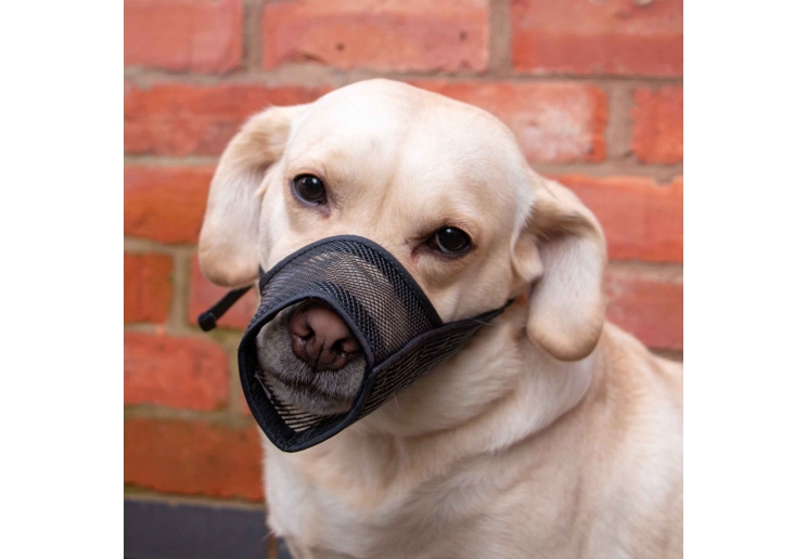 Mesh Muzzle Size 2: 15x12cm