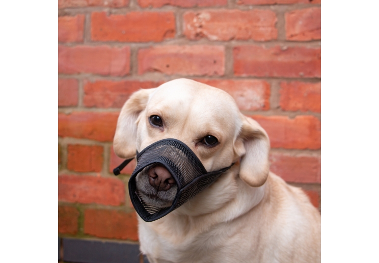 Mesh Muzzle Size 3 20x15cm