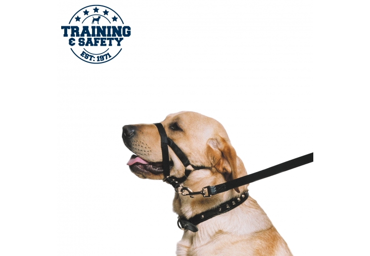 Nylon Training Halter M Sz 3-4