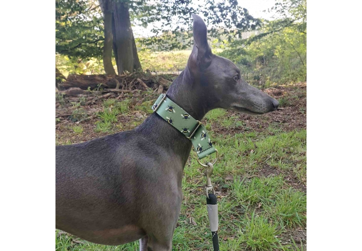 Soho Bee Martingale Collar - Small