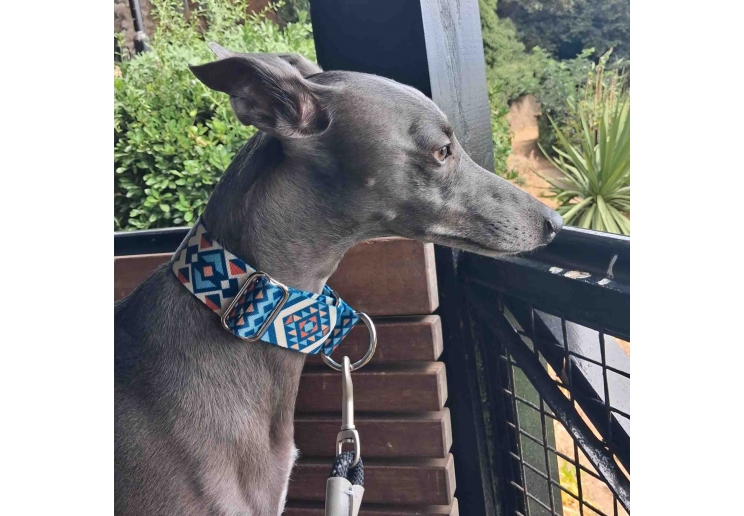 Soho Aztec Martingale Collar - Small