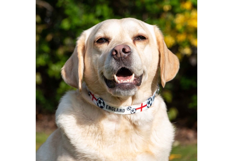 England Football Collar S 20-30cm