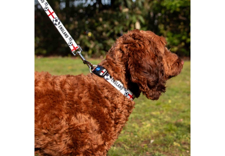 England Football Collar S 20-30cm