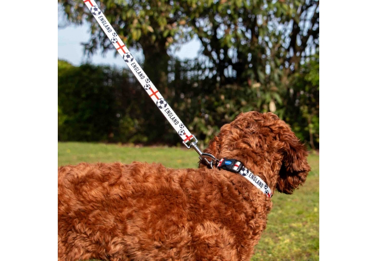 England Football Lead 100cm | 50kg