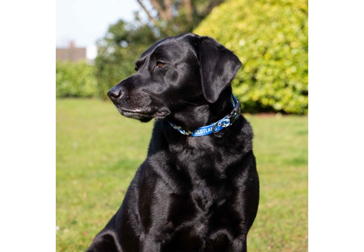 Scotland Football Lead 100cm | 50kg