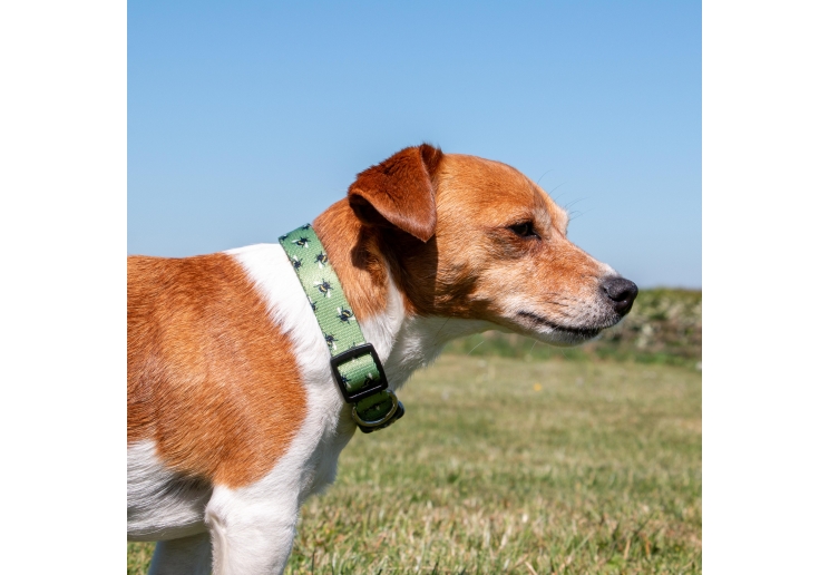 Soho Bee Collar M 30-50cm