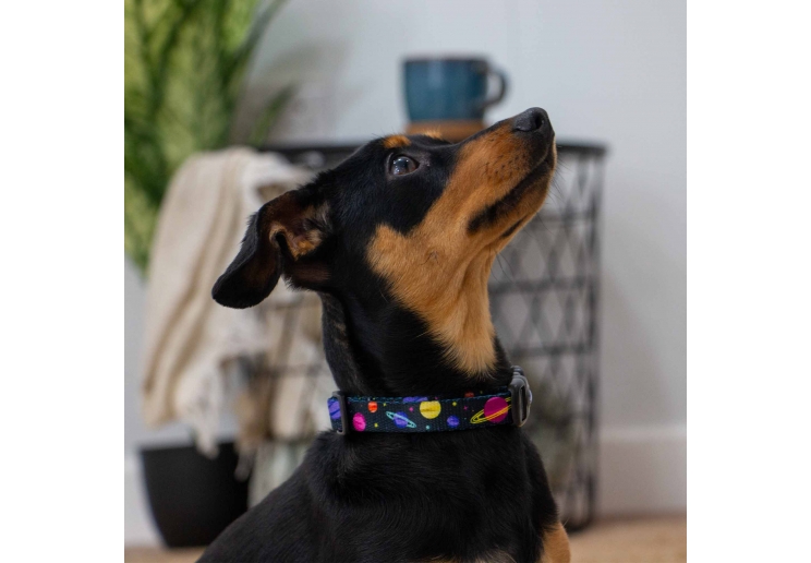 Soho Cosmic Collar S 20-30cm