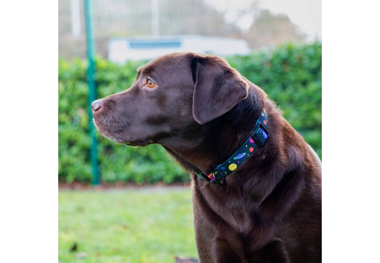 Soho Cosmic Collar S 20-30cm